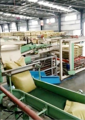 Palletizer de alimentación personalizado y automático para la planta de embalaje 4100mm*1600mm*1450mm